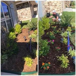Before and after. They bring so much life to our garden!