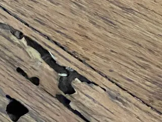 Key Realty and Property Management