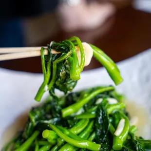 Mapo Tofu from our Lunch Specials
Monday - Friday from 11am - 3pm