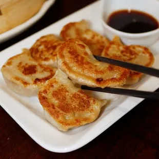 Pan Fried Dumplings