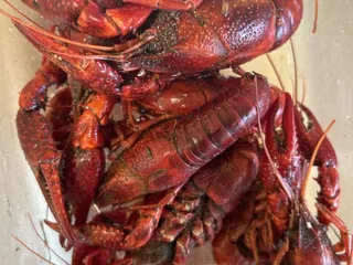 L A Boilers & Seafood Market