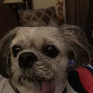 Kita J.