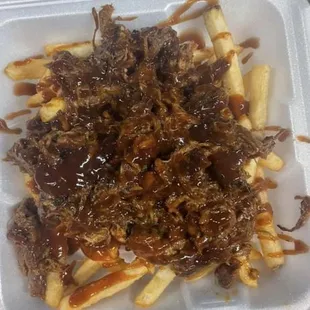 BBQ Pulled Pork and Fries