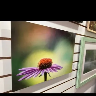 a purple flower on a green background