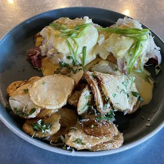 REUBEN BENEDICT
