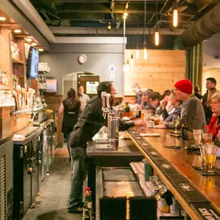 sushi and sashimi, interior