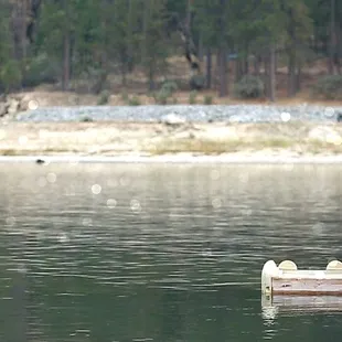 Can we go back to Bass Lake?