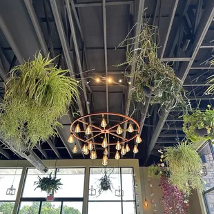 Nice ambiance