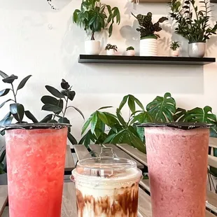 Left to right - Watermelon Lychee Refresher, Crème Brûlée Latte, Strawberry Milk Tea