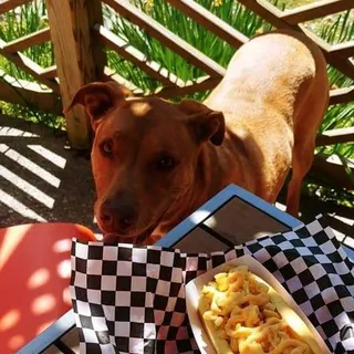 BBQ