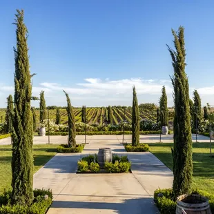 Toca Madera's Backyard. Photo by Stephan Alvin Photography