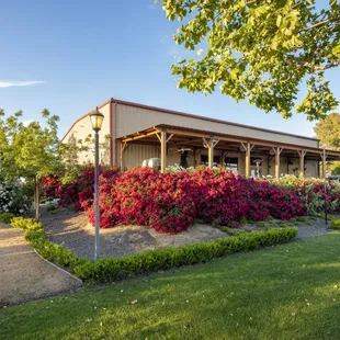 Come wine tasting in the heart of the Central Valley. Photo by Stephan Alvin Photography