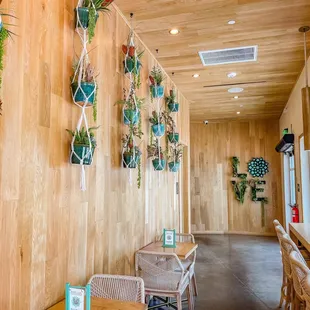 hanging planters on the wall