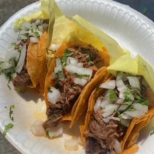 Birria Plate