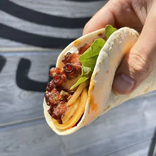 a hand holding a taco