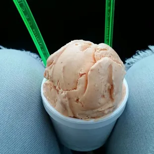 Nieve De Mamey