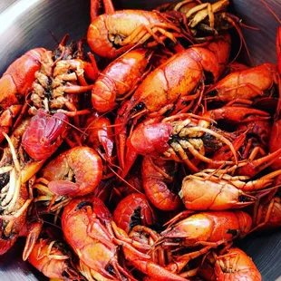 Crawfish