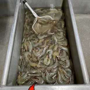 $5.99/lb