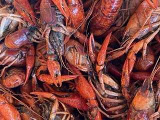 Sal's Seafood