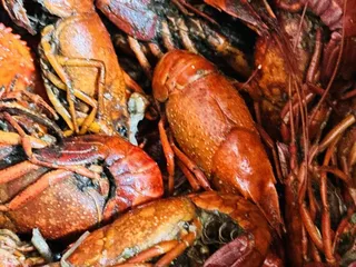 Michael's Seafood