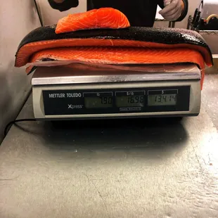a person weighing salmon on a scale