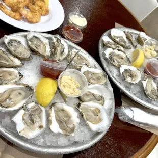Oyster Friday!