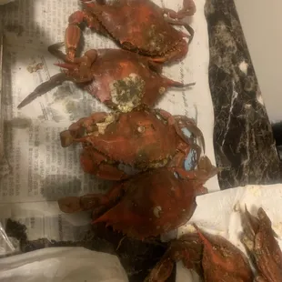 three crabs on a newspaper