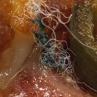 a piece of meat and vegetables