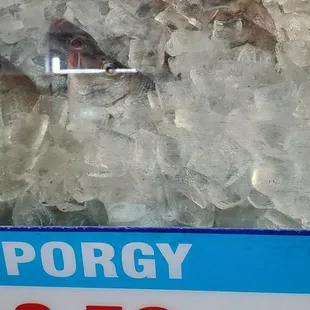 Porgy