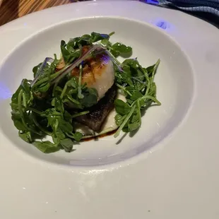 Teppan Seared Sea Scallops