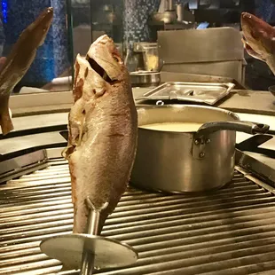 Fresh Fish