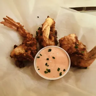 Fantail Shrimp