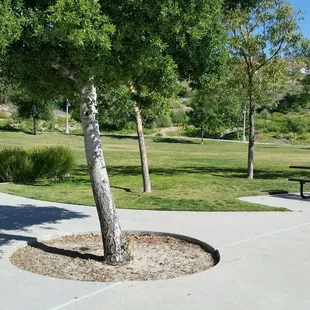 Little field behind the playground with a little bridge