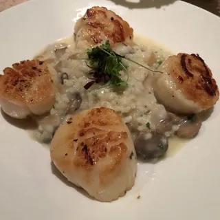 Seared Sea Scallops