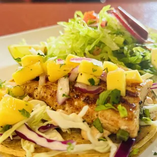 Mahi Mahi taco