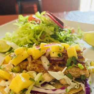 Mahi Mahi taco