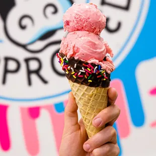 Chocolate dipped waffles cones make everything even better!
