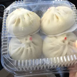 Pork and Cabbage Baozi