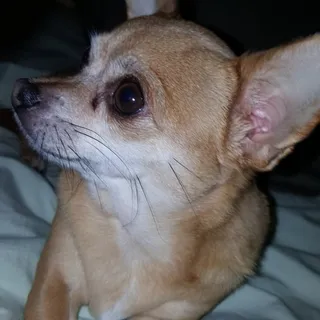 Eddie L.