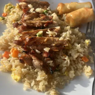 a plate of rice and meat