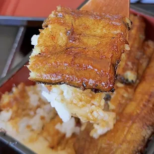 The Premium Japanese Unagi Box (Unajyu Toku-Jo)--it&apos;s &quot;double layer&quot; but only 1.5 portion for $95