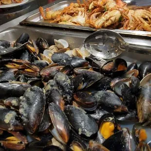 a tray of mussels and clams