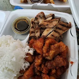 Gyoza, chicken teriyaki