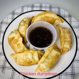 Chicken Dumplings