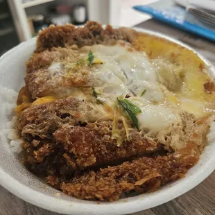 my katsu don. from the look of it you can tell its just way too salted.