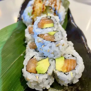 Salmon Avocado Roll