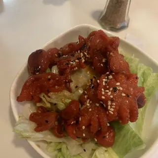 Octopus