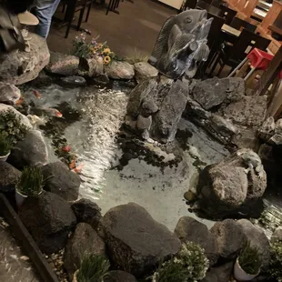 Koi Pond