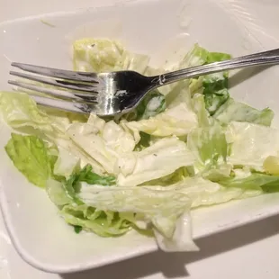 Salad (Bowl of ranch with a few pieces of iceberg)