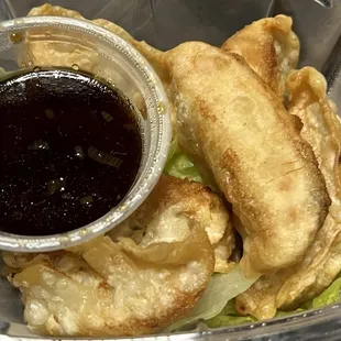 Fried Gyoza